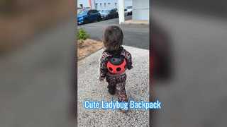 mini Ladybug backpack for kids