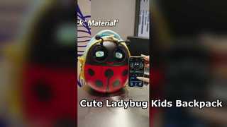 Led Ladybug Kids Backpack